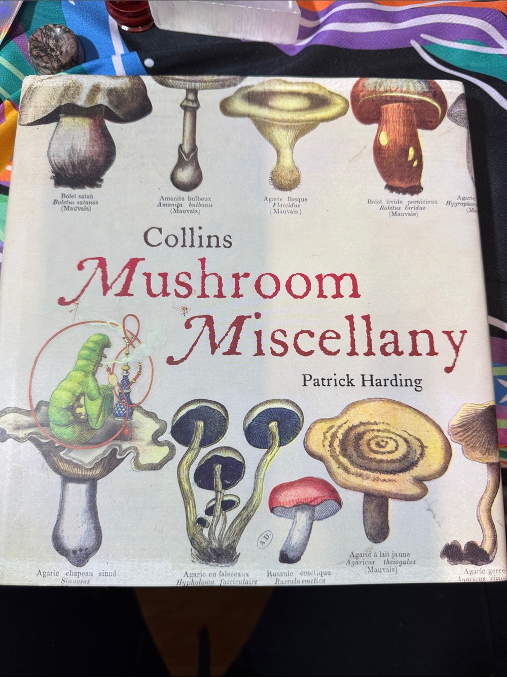 Mushroom Miscellany by Patrick Harding - White/Cream Cover